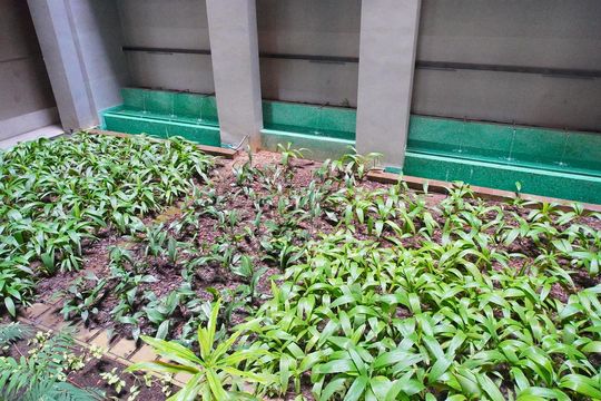 Área comum de apartamento para alugar com 2 quartos, 75m² em Auxiliadora, Porto Alegre