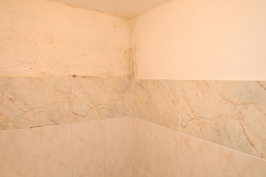 Área comum de casa à venda com 5 quartos, 400m² em Lajeado, São Paulo