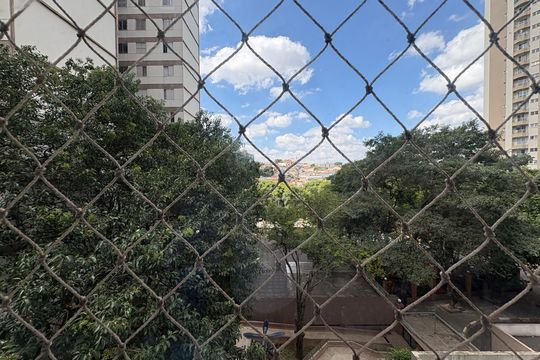 Vista do Quarto 1 de apartamento para alugar com 2 quartos, 86m² em Jardim Iris, São Paulo