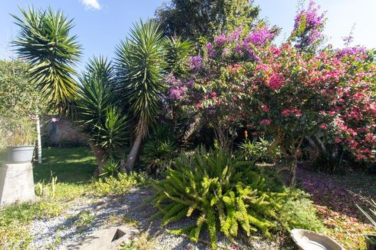 Quintal de casa à venda com 3 quartos, 852m² em São João, Curitiba