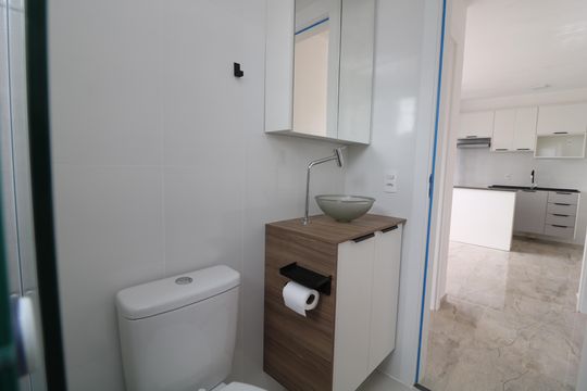 Banheiro de apartamento para alugar com 2 quartos, 38m² em Vila Graciosa, São Paulo