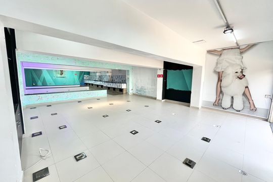 Garagem de casa para alugar com 4 quartos, 534m² em Jardim Sao Paulo(zona Norte), São Paulo