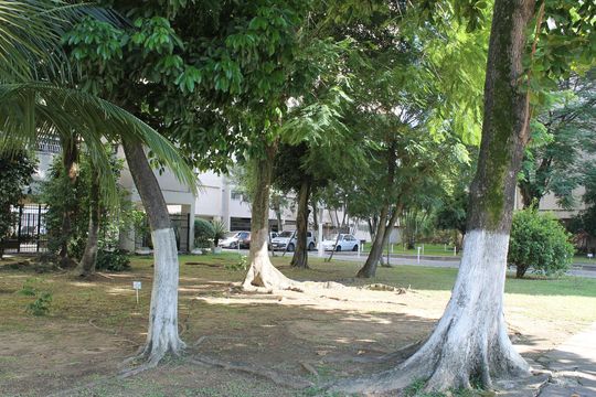 Área comum de apartamento para alugar com 2 quartos, 45m² em Colubandê, São Gonçalo