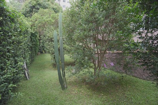 Casa para alugar com 3 quartos, 917m² em Vila Progresso (zona Leste), São Paulo