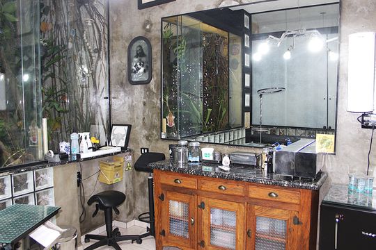 Estúdio de casa à venda com 3 quartos, 342m² em Bela Vista, São Paulo