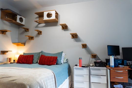 Apartamento para alugar com 2 quartos, 64m² em Rio Comprido, Rio de Janeiro