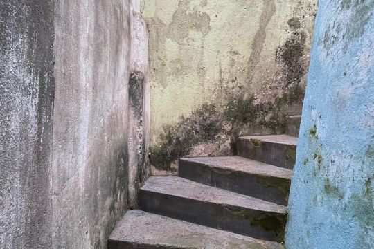 Área Comum  de casa para alugar com 2 quartos, 63m² em Lajeado, São Paulo