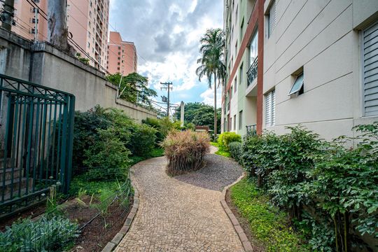 Área comum de apartamento para alugar com 3 quartos, 150m² em Vila Butantã, São Paulo