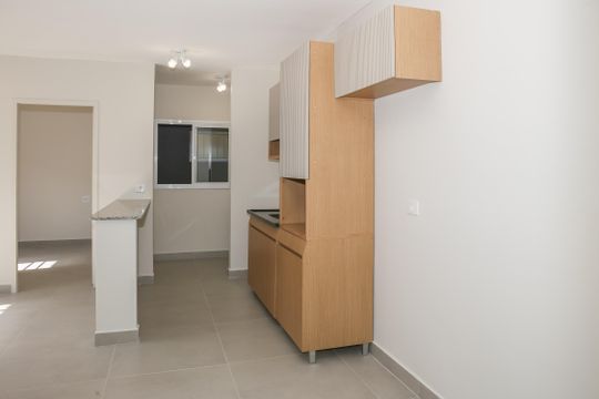 Cozinha e Área de Serviço de apartamento para alugar com 2 quartos, 46m² em Barra Funda, São Paulo