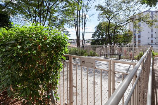 Área comum de apartamento para alugar com 2 quartos, 70m² em Santa Amelia, Belo Horizonte