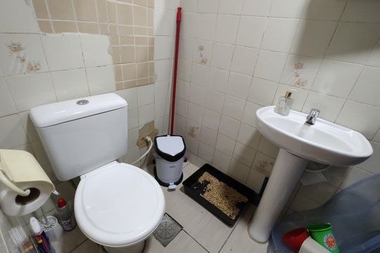 Banheiro Social de apartamento para alugar com 3 quartos, 69m² em Taquara, Rio de Janeiro