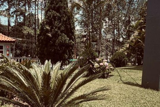 Apartamento à venda com 2 quartos, 53m² em Santa Terezinha, São Bernardo do Campo