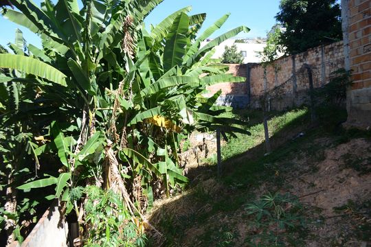 Área externa de casa à venda com 1 quarto, 63m² em Goiânia, Belo Horizonte