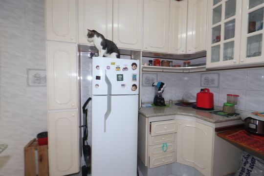Cozinha de apartamento à venda com 2 quartos, 70m² em Vila Prudente, São Paulo