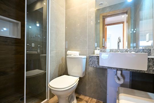 Banheiro de apartamento para alugar com 2 quartos, 55m² em Vila Progredior, São Paulo