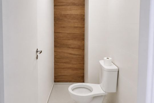 Banheiro de apartamento para alugar com 2 quartos, 32m² em Jardim Caravelas, São Paulo