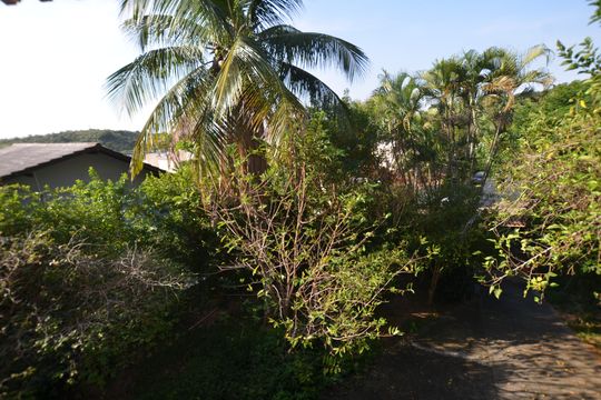 Vista da Sala de casa à venda com 5 quartos, 350m² em Jardim Sulacap, Rio de Janeiro