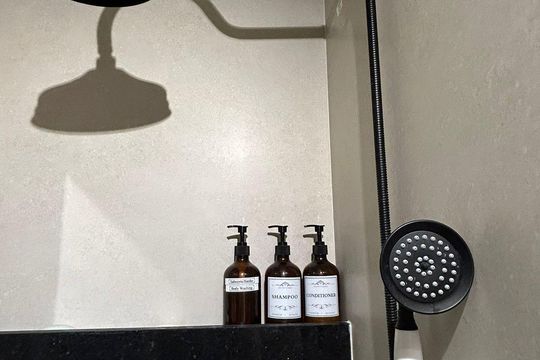 Banheiro de apartamento para alugar com 2 quartos, 43m² em Santo Cristo, Rio de Janeiro