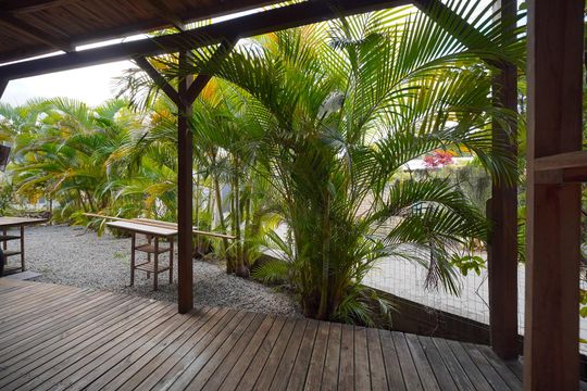 Vista do Quarto de casa para alugar com 1 quarto, 55m² em Rio Tavares, Florianópolis