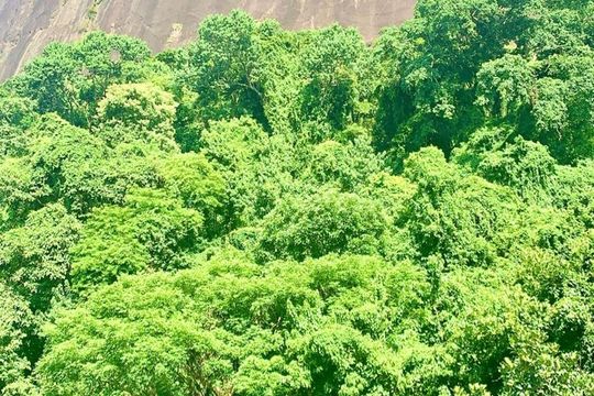 Vista da janela de apartamento para alugar com 2 quartos, 91m² em Lagoa, Rio de Janeiro