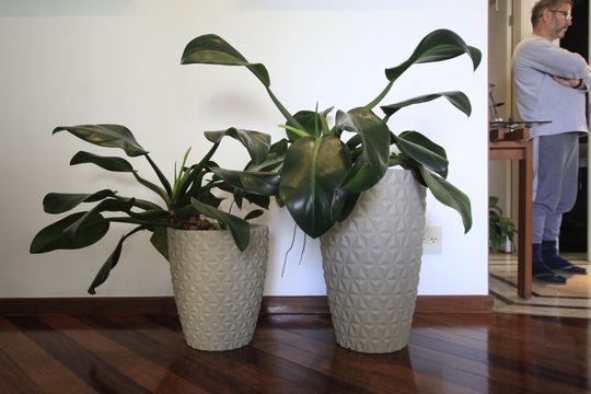 Apartamento para alugar com 3 quartos, 156m² em Vila Mariana, São Paulo