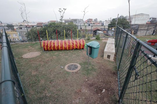 Área PET de apartamento para alugar com 2 quartos, 32m² em Parque Erasmo Assunção, Santo André