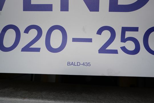 Placa BALD-435 de casa para alugar com 2 quartos, 160m² em Vila Mariana, São Paulo