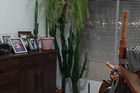 Apartamento para alugar com 2 quartos, 156m² em Porto Velho, São Gonçalo
