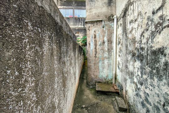 Quintal de casa à venda com 8 quartos, 288m² em Jardim Floresta, São Paulo
