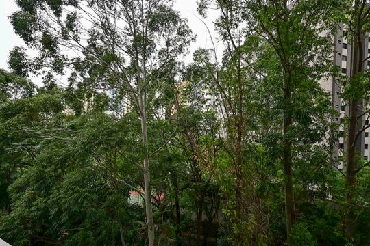 Vista da Suíte 2 de apartamento para alugar com 3 quartos, 163m² em Vila Andrade, São Paulo