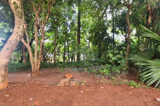 Apartamento à venda com 3 quartos, 83m² em Medeiros, Jundiaí