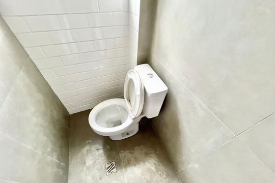 Banheiro de casa para alugar com 4 quartos, 176m² em Santana, São Paulo