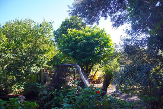 Vista da Sala de casa à venda com 1 quarto, 70m² em Campestre, São Leopoldo