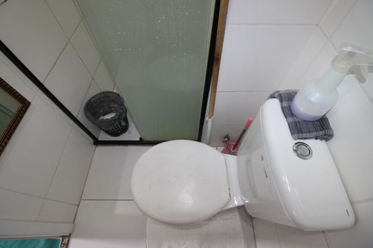 Banheiro de apartamento para alugar com 2 quartos, 35m² em Vila Brasil, São Paulo
