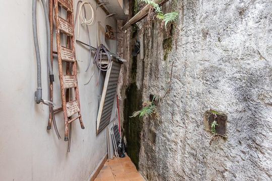 Quintal fundos de casa para alugar com 1 quarto, 210m² em Vila Pirituba, São Paulo