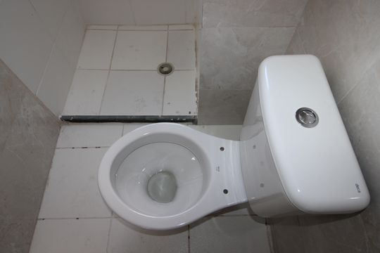 Banheiro de apartamento para alugar com 2 quartos, 34m² em Colônia (zona Leste), São Paulo