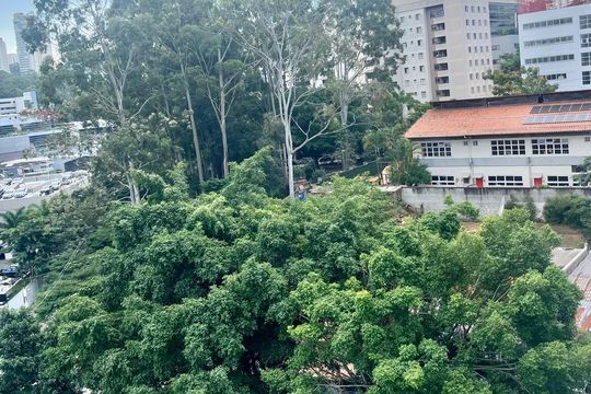 Apartamento à venda com 2 quartos, 60m² em Vila Andrade, São Paulo