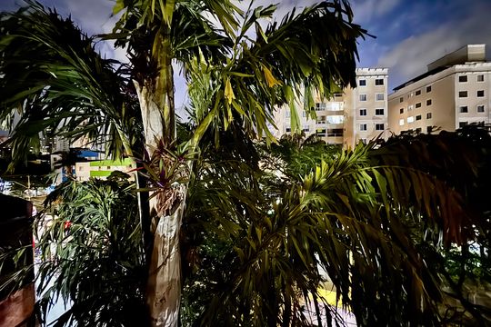 Vista de apartamento para alugar com 3 quartos, 96m² em Santa Efigênia, Belo Horizonte