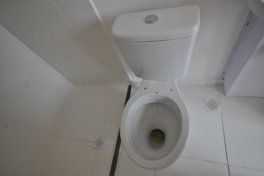 Banheiro de kitnet/studio para alugar com 1 quarto, 20m² em Vila Nilo, São Paulo