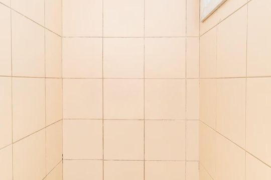 Banheiro 2 de casa de condomínio para alugar com 3 quartos, 223m² em Santa Tereza, Porto Alegre