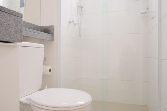 Banheiro de apartamento para alugar com 2 quartos, 50m² em Tatuapé, São Paulo