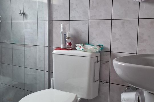 Banheiro de casa para alugar com 3 quartos, 200m² em Jardim Rosa de Franca, Guarulhos