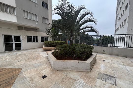 Área comum de apartamento à venda com 2 quartos, 34m² em Vila Pierina, São Paulo