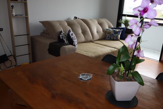 Sala de apartamento para alugar com 2 quartos, 50m² em Jardim Vila Formosa, São Paulo