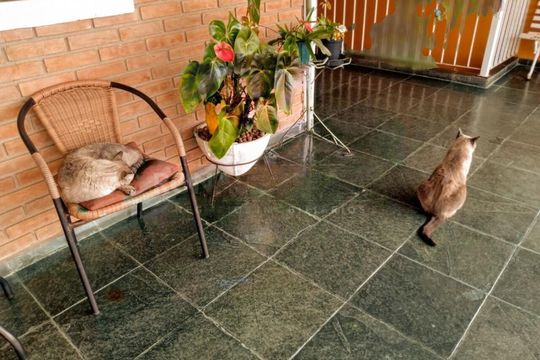 Casa à venda com 4 quartos, 180m² em Jardim Colonial, São Paulo