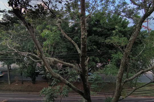 Varanda  de apartamento para alugar com 3 quartos, 117m² em Recreio dos Bandeirantes, Rio de Janeiro