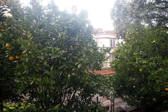 Vista da Sala 1 de apartamento para alugar com 1 quarto, 58m² em Azenha, Porto Alegre