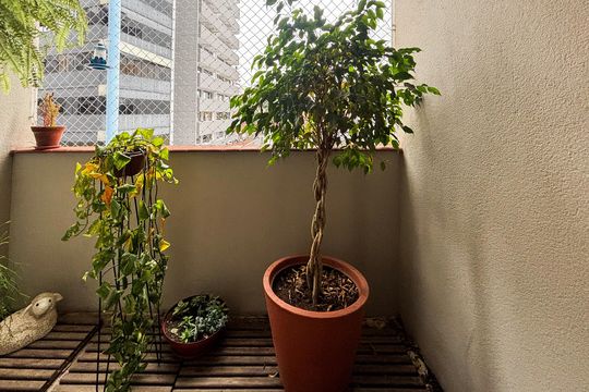 Apartamento para alugar com 2 quartos, 126m² em Pinheiros, São Paulo