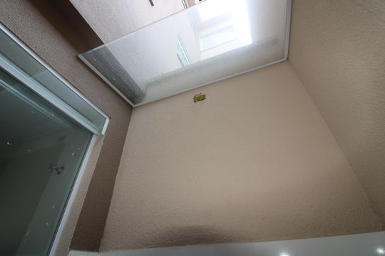 Área de Serviço de apartamento para alugar com 2 quartos, 38m² em Jardim Aricanduva, São Paulo