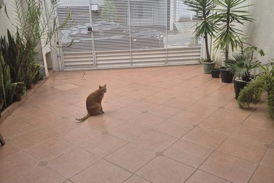 Casa de Condomínio à venda com 3 quartos, 180m² em Parque Sao Vicente, Santo André